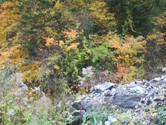 -叠溪松坪沟景区