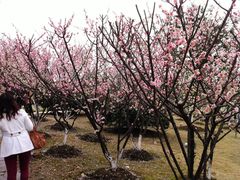 IMG_1992-白塘生态植物园