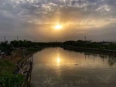 -海鸥岛河景湖大排档