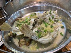 原条蒸巴鱼-飞尝蚝·顺德菜·鱼生(顺德总店)