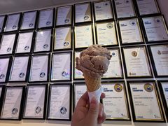 -Dooley's Premium Ice Cream