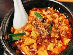 -陈麻婆豆腐总店