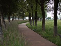 -汉长安城未央宫国家考古遗址公园