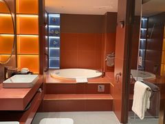 -常州武进九洲喜来登酒店