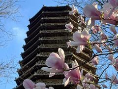 -玲珑塔公园
