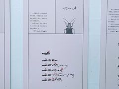 -青果巷历史文化街区