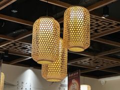 -巢湖名吃·东关老鹅汤(江南风情街店)
