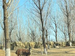 -北京野生动物园