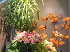 -春暖花开(西溪店)