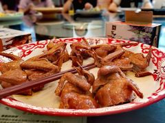 顺风招牌乳鸽-顺风山庄(水濂山店)