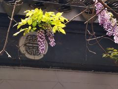 -东山风景区(洞庭东山)