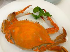 清蒸梭蟹-开海·红岛海鲜虾水饺(石老人店)