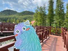 -广州市石门国家森林公园