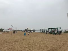 -碧海金沙