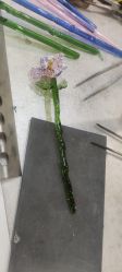 -烬·烧玻璃diy灯工玻璃艺术·银饰工作室