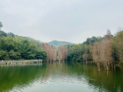 -广州市白云山风景名胜区