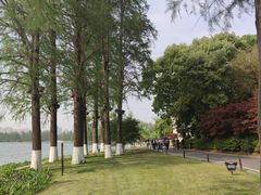 -东湖听涛景区