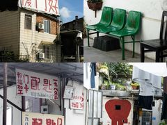 -溪岸路花鸟市场