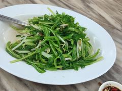 -新峰肉骨茶