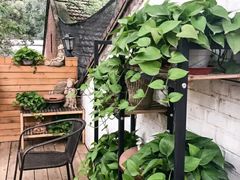 -老北京私房菜(798店)