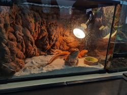 -Moni星球萌宠·小马宝莉·灵蛇·高端高阶全萌宠互动体验俱乐部(红豆国际广场店)
