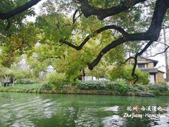 -西溪国家湿地公园