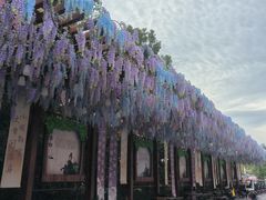 -芜湖方特东方神画