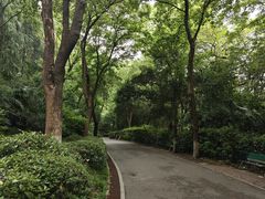 -北极阁公园