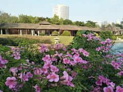 -惠和石文化园