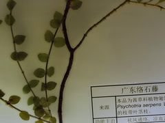 -广东中医药博物馆