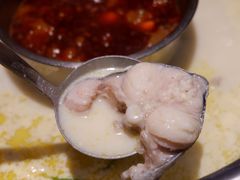 -鱼豆吉·豆浆鱼火锅(宜昌万达店)