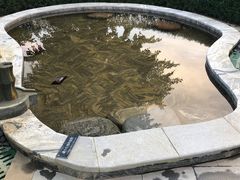 -英德宝晶宫天鹅湖茶语温泉