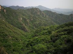 -大岭沟猕猴桃谷风景区