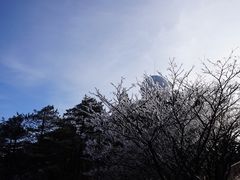 -黄山光明顶山庄