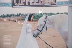 -1986婚纱摄影(清城店)