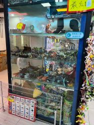 -百荣二期玩具城