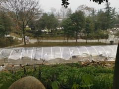-三江森林温泉度假区