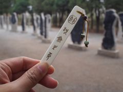 -安阳东站