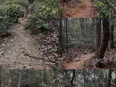-杭州植物园