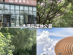 -大湾区中央湿地公园