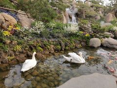 -罗红摄影艺术馆