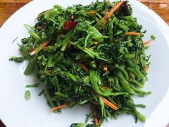 拌水蕨菜-何适山庄 ·可团建(水长城P2停车场店)