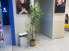 -天真蓝照相馆(五角场百联又一城店)
