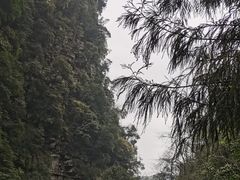 -碧峰峡风景区