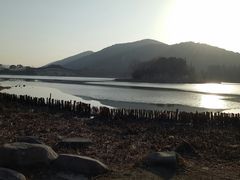-长广溪湿地公园