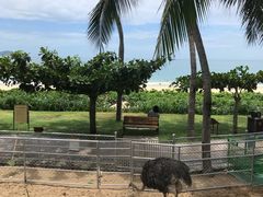 -三亚亚龙湾天域度假酒店