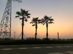 -宝安西湾红树林湿地公园