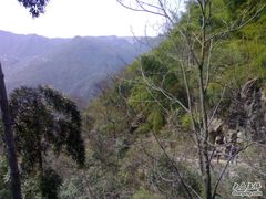 -藏龙百瀑风景区