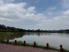 -美的鹭湖森林度假区