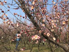 -蜀冈西峰生态公园